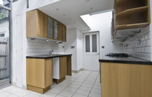 Black Vein kitchen extension leads