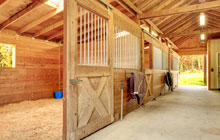 Black Vein stable construction leads